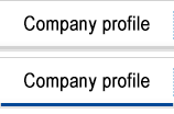 Company profile