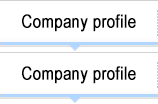 Company profile